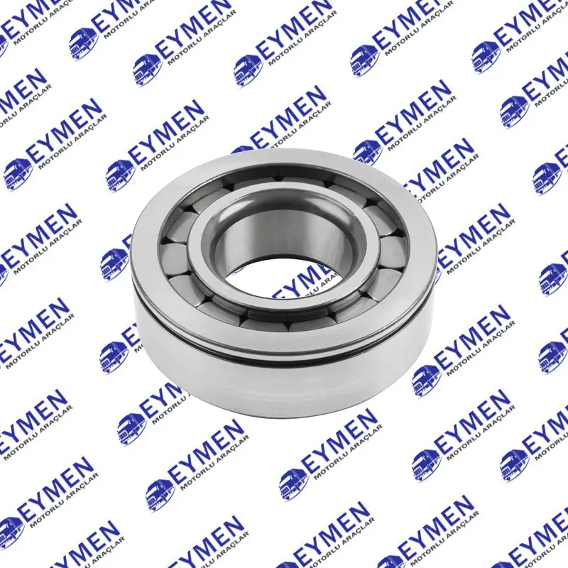 DAF Differential Bearing