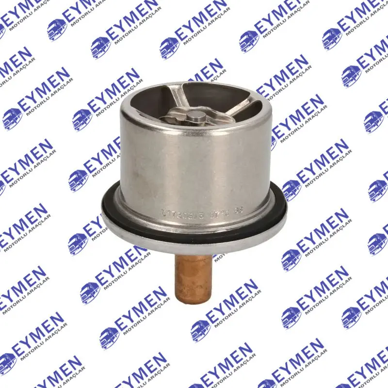 Engine Thermostat 75°C DAF