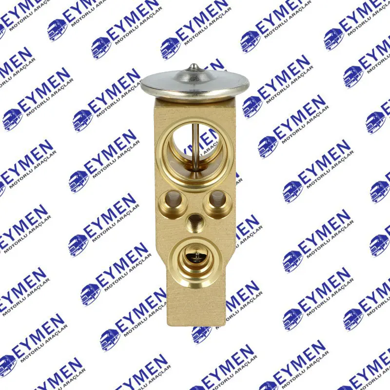 DAF AC Expansion Valve