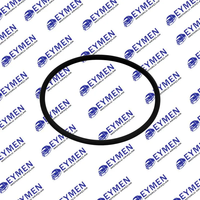 DAF Injector Pump Oring