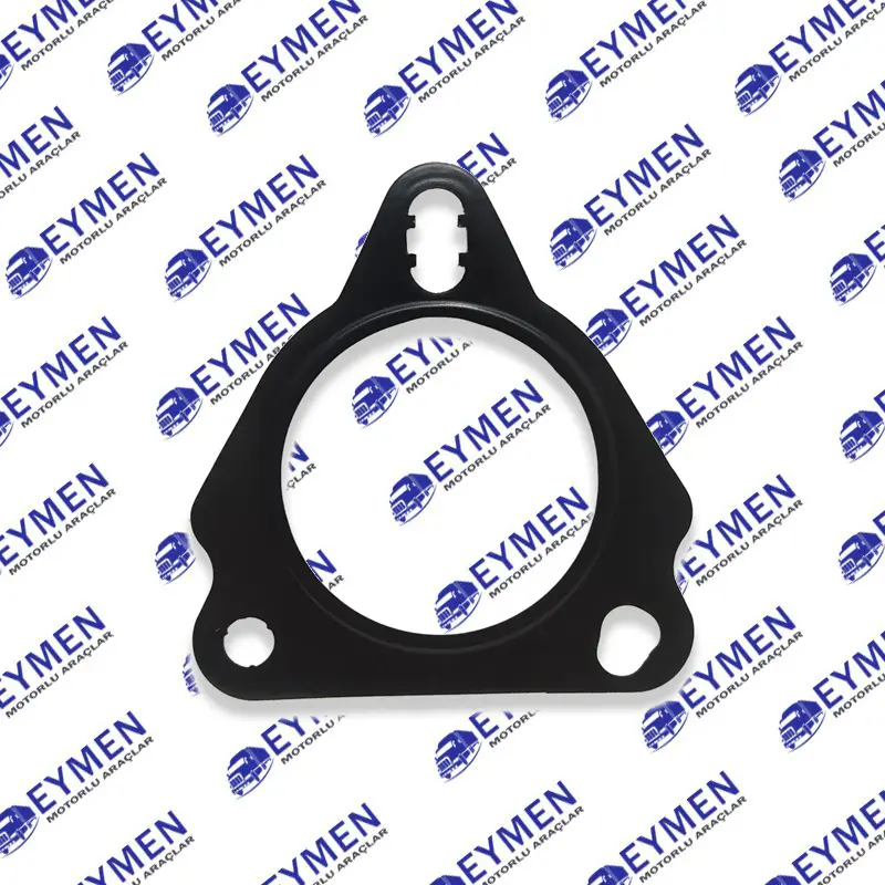 DAF Water Pump Gasket